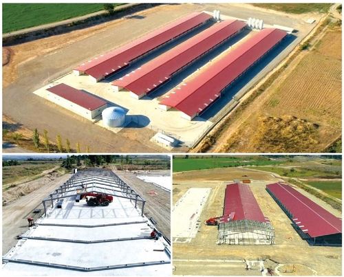 trường hợp công ty mới nhất về Ba nhà thịt gà mới của giai đoạn 3 của việc xây dựng các hội trường cho gà thịt, với dung lượng khoảng 147000 con thịt gà.