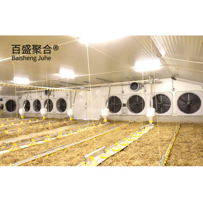 Multi Floor Large Scale Chicken Coop Shed Farm House Warehouse với cửa sổ hợp kim nhôm