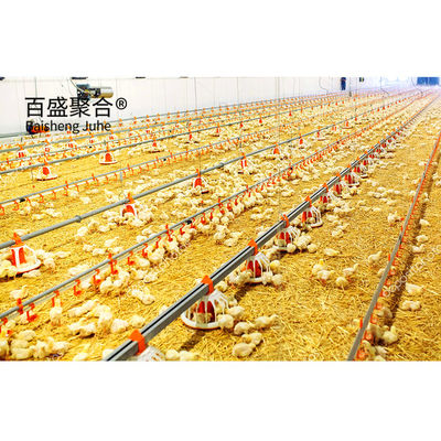 Multi Floor Large Scale Chicken Coop Shed Farm House Warehouse với cửa sổ hợp kim nhôm