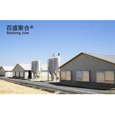 Multi Floor Large Scale Chicken Coop Shed Farm House Warehouse với cửa sổ hợp kim nhôm