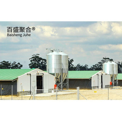 Multi Floor Large Scale Chicken Coop Shed Farm House Warehouse với cửa sổ hợp kim nhôm