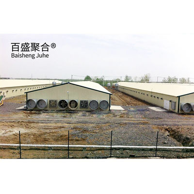 Multi Floor Large Scale Chicken Coop Shed Farm House Warehouse với cửa sổ hợp kim nhôm
