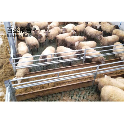 Cây thép xây dựng nhanh cho bò ngựa dê và cừu