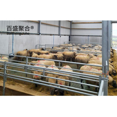 Prefab Steel Structure Sheep Shed Farm Building Thiết kế được làm bằng thép carbon thấp Q235