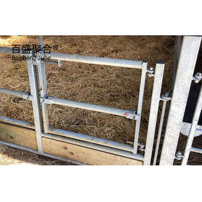 ISO9001 2008/CE/BV Chứng nhận Hot Dip Galvanized Prefabricated Steel Structure Tòa nhà chăn nuôi cho heo bò cừu