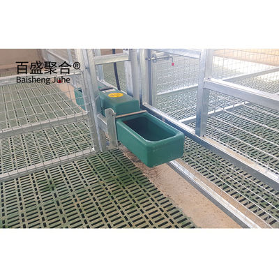 ISO9001 2008/CE/BV Chứng nhận Hot Dip Galvanized Prefabricated Steel Structure Tòa nhà chăn nuôi cho heo bò cừu