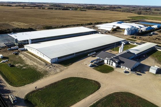 Cơ cấu thép tùy chỉnh Xưởng kho hangar Hall với mái nhà sandwich