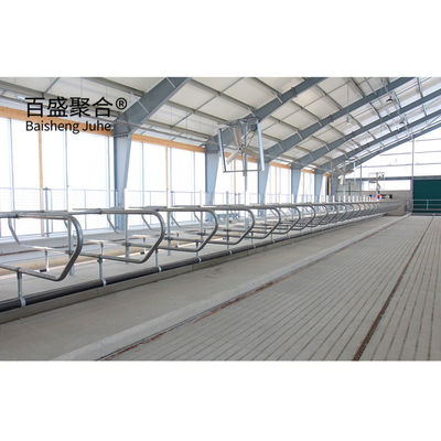 PKPM Thiết kế thiết kế Khung cấu trúc thép nhẹ ổn định và bền cho chuồng bò hiện đại