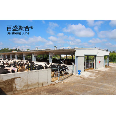 PKPM Thiết kế thiết kế Khung cấu trúc thép nhẹ ổn định và bền cho chuồng bò hiện đại