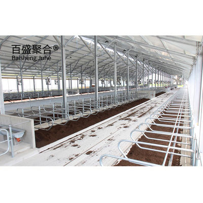 PKPM Thiết kế thiết kế Khung cấu trúc thép nhẹ ổn định và bền cho chuồng bò hiện đại