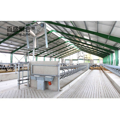 PKPM Thiết kế thiết kế Khung cấu trúc thép nhẹ ổn định và bền cho chuồng bò hiện đại