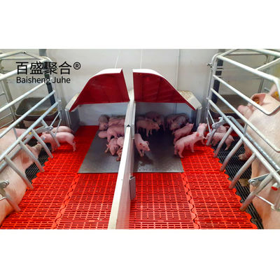 Chăn nuôi lợn bút đẻ với kênh thép hình C.Z và lớp phủ galvanized nóng