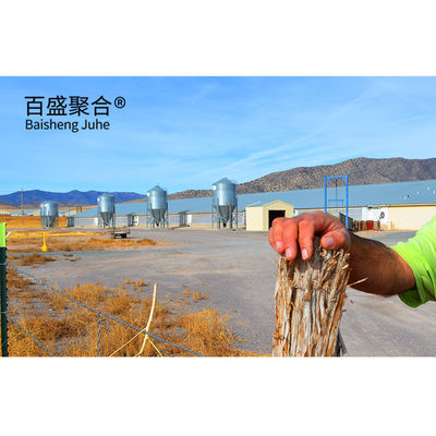 Khung thép Ngư trại Cấu trúc Thiết kế tòa nhà Thép chế biến Ngư gia Ngư