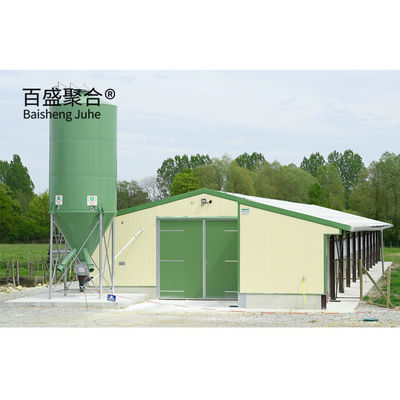 Hot Dip Galvanized Modern Steel Structure Shed Chicken Chicken Farm Nhà gà trứng Nhà gà