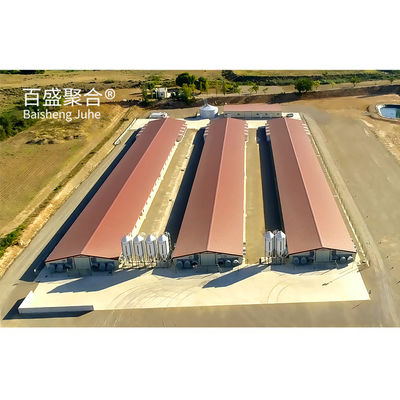 Hot Dip Galvanized Modern Steel Structure Shed Chicken Chicken Farm Nhà gà trứng Nhà gà