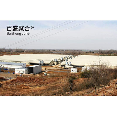 Cấu trúc trang trại lợn chế tạo sẵn cho dịch vụ uốn cong
