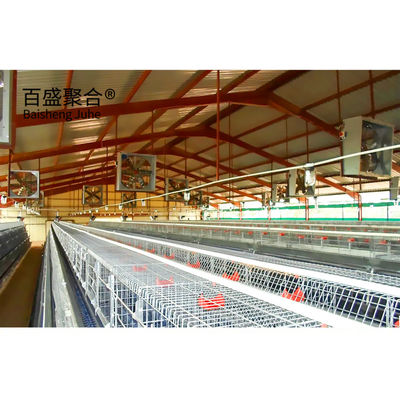 Hot Dip Galvanized Thiết kế hiện đại Chicken Coop cho gia súc gia cầm Nhà nhà nhà nhà nhà nhà nhà nhà nhà nhà nhà nhà nhà nhà nhà nhà nhà nhà nhà nhà nhà nhà nhà nhà nhà nhà nhà nhà nhà nhà nhà nhà nhà nhà nhà nhà nhà nhà nhà nhà nhà nhà nhà nhà nhà nhà nhà nhà nhà nhà nhà nhà nhà nhà nhà nhà nhà nhà nhà nhà nhà nhà nhà nhà nhà nhà nhà nhà nhà nhà nhà nhà nhà nhà nhà nhà nhà nhà nhà nhà nhà nhà nhà nhà nhà nhà nhà nhà nhà nhà nhà nhà nhà nhà nhà nhà nhà nhà nhà nhà nhà nhà nhà nhà nhà nhà nhà nh