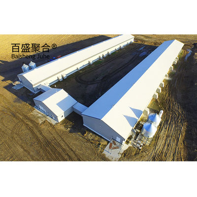 Hot Dip Galvanized Thiết kế hiện đại Chicken Coop cho gia súc gia cầm Nhà nhà nhà nhà nhà nhà nhà nhà nhà nhà nhà nhà nhà nhà nhà nhà nhà nhà nhà nhà nhà nhà nhà nhà nhà nhà nhà nhà nhà nhà nhà nhà nhà nhà nhà nhà nhà nhà nhà nhà nhà nhà nhà nhà nhà nhà nhà nhà nhà nhà nhà nhà nhà nhà nhà nhà nhà nhà nhà nhà nhà nhà nhà nhà nhà nhà nhà nhà nhà nhà nhà nhà nhà nhà nhà nhà nhà nhà nhà nhà nhà nhà nhà nhà nhà nhà nhà nhà nhà nhà nhà nhà nhà nhà nhà nhà nhà nhà nhà nhà nhà nhà nhà nhà nhà nhà nhà nh