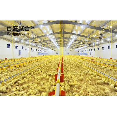 Hot Dip Galvanized Thiết kế hiện đại Chicken Coop cho gia súc gia cầm Nhà nhà nhà nhà nhà nhà nhà nhà nhà nhà nhà nhà nhà nhà nhà nhà nhà nhà nhà nhà nhà nhà nhà nhà nhà nhà nhà nhà nhà nhà nhà nhà nhà nhà nhà nhà nhà nhà nhà nhà nhà nhà nhà nhà nhà nhà nhà nhà nhà nhà nhà nhà nhà nhà nhà nhà nhà nhà nhà nhà nhà nhà nhà nhà nhà nhà nhà nhà nhà nhà nhà nhà nhà nhà nhà nhà nhà nhà nhà nhà nhà nhà nhà nhà nhà nhà nhà nhà nhà nhà nhà nhà nhà nhà nhà nhà nhà nhà nhà nhà nhà nhà nhà nhà nhà nhà nhà nh