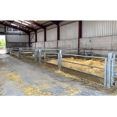 Aluminium hợp kim cửa sổ kim loại Căn hộ nuôi dê Thiết kế Cấu trúc thép Nhà chăn cừu PKPM