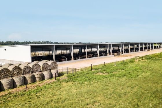 Giải pháp xây dựng nhẹ Xây dựng khung thép trải dài lớn Hội thảo cấu trúc thép carbon thấp