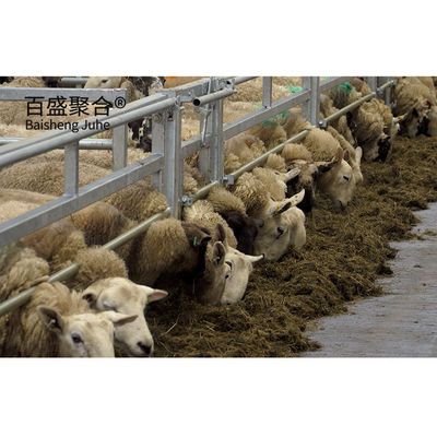 Giá cả phải chăng Prefab Metal Building Sheep Goat Farm Shed House với thiết kế vẽ PKPM