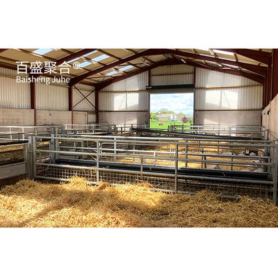 Giá cả phải chăng Prefab Metal Building Sheep Goat Farm Shed House với thiết kế vẽ PKPM