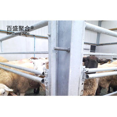 Cửa cuộn Căn hộ gia súc được chế tạo sẵn cho dê Chỗ chăn cừu Nhà bò Chỗ chăn cừu