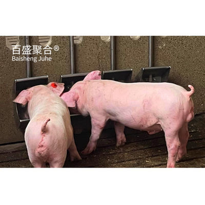 Cấu trúc thép chế biến sẵn tùy chỉnh Nhà máy nông nghiệp cho nhà chứa lợn và chuồng bò
