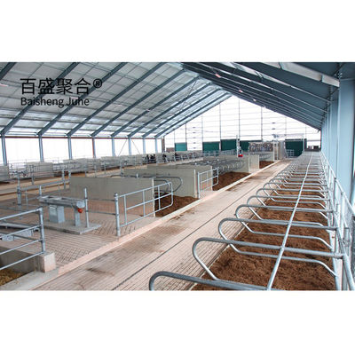 Cửa sổ hợp kim nhôm và Q345 Prefab Steel Cow Farm Building cho nhà bò sữa