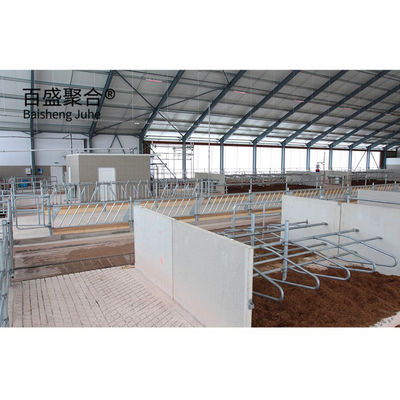 Cửa sổ hợp kim nhôm và Q345 Prefab Steel Cow Farm Building cho nhà bò sữa