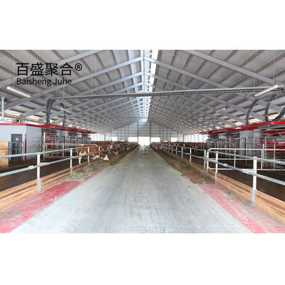 Cửa sổ hợp kim nhôm và Q345 Prefab Steel Cow Farm Building cho nhà bò sữa