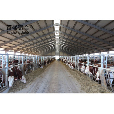 Cửa sổ hợp kim nhôm và Q345 Prefab Steel Cow Farm Building cho nhà bò sữa