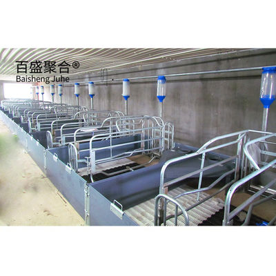 Nhà heo thương mại tùy chỉnh tiêu chuẩn ASTM với cửa cuộn và cấu trúc thép tiền chế