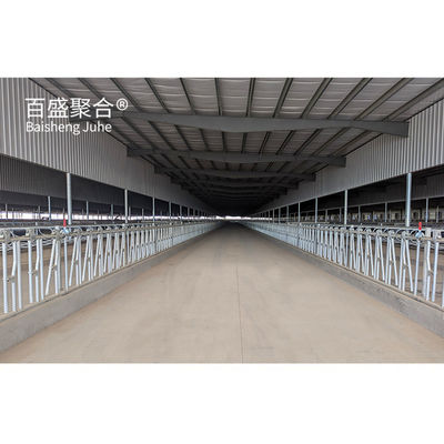 Màu sắc tùy chỉnh Khung kim loại Cấu trúc thép Ngựa Ngỗng nuôi bò Nhà trang trại bò Prefab Ngỗng bò chuẩn ASTM