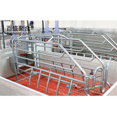 Kế hoạch kinh doanh nuôi lợn được chứng nhận ISO9001 2008/CE/BV cho lồng và bút tùy chỉnh
