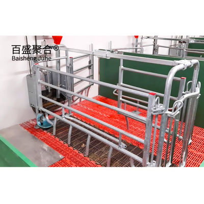 Kế hoạch kinh doanh nuôi lợn được chứng nhận ISO9001 2008/CE/BV cho lồng và bút tùy chỉnh