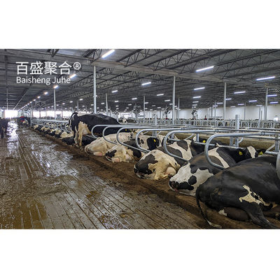 AiSi chuẩn cấu trúc thép tiền chế Sở bò cho bò và trang trại sữa được chứng nhận