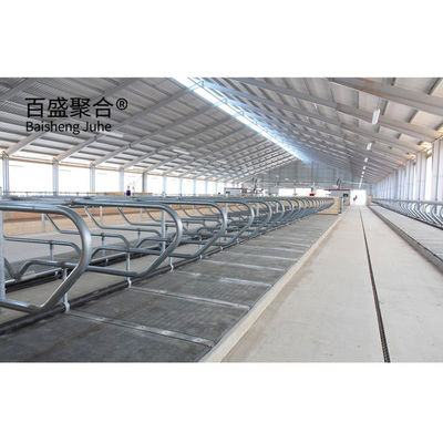 Upgrade Your Cattle Farm House with's Grade-A Steel Cowsheds