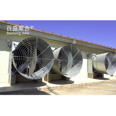 Màu sắc tùy chỉnh thiết kế thương mại Chicken Broiler chuồng với tự động nuôi gia cầm