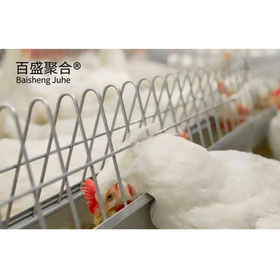 Màu sắc tùy chỉnh thiết kế thương mại Chicken Broiler chuồng với tự động nuôi gia cầm