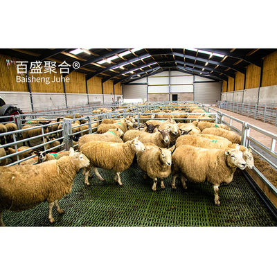 Màu sắc tùy chỉnh Thép Beams Prefab Animal Shed cho Cừu/thịt bò/lợn/thịt bò/cái nuôi nhà