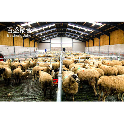 Màu sắc tùy chỉnh Thép Beams Prefab Animal Shed cho Cừu/thịt bò/lợn/thịt bò/cái nuôi nhà