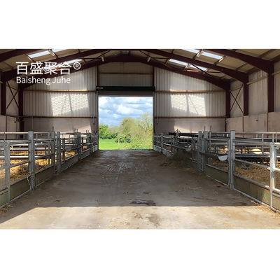 Màu sắc tùy chỉnh Thép Beams Prefab Animal Shed cho Cừu/thịt bò/lợn/thịt bò/cái nuôi nhà