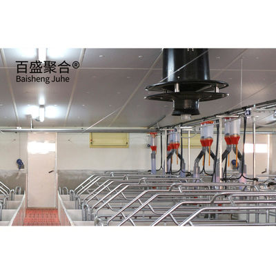 Hot Dip Galvanized Steel Structure Pig House Grade Steel Sẵn sàng làm nhà heo