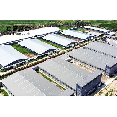 Hot Dip Galvanized Steel Structure Pig House Grade Steel Sẵn sàng làm nhà heo