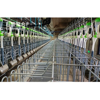 Hot Dip Galvanized/Paint Spraying Steel Structures for Pig Farm Warehouse Frame House (Thiết kế thép đúc sợi nóng)