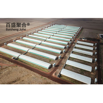 Hot Dip Galvanized/Paint Spraying Steel Structures for Pig Farm Warehouse Frame House (Thiết kế thép đúc sợi nóng)