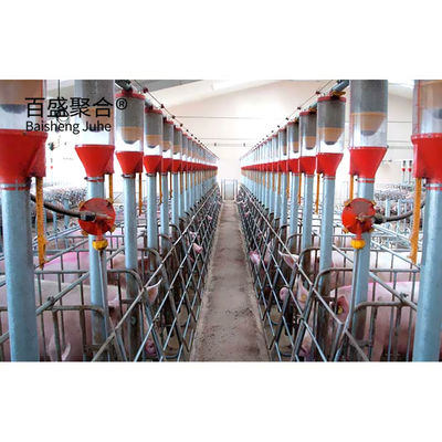 Hot Dip Galvanized/Paint Spraying Steel Structures for Pig Farm Warehouse Frame House (Thiết kế thép đúc sợi nóng)