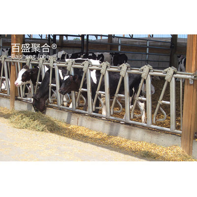 Hot Dip Galvanized Steel Structure Ngôi nhà gia súc cho nhà chăn nuôi Prefab khung kim loại